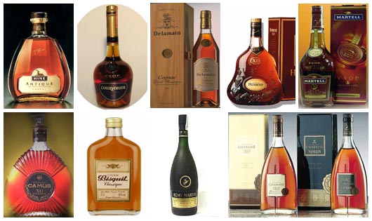 Câu chuyện thú vị về họ rượu Brandy và 4 thông tin có thể bạn chưa biết