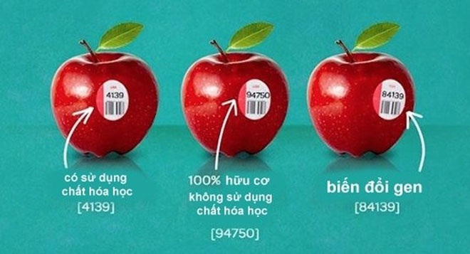 Vì sao không nên mua trái cây có mã code bắt đầu bằng số 8 – Sự thật nhân viên thu mua trong Trang Chủ Cổng Game Cá Cược Uy Tín E2 BET – nhà hàng cần biết