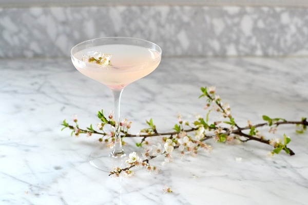 7 Loại cocktail pha chế từ rượu Rum Bartender cần biết