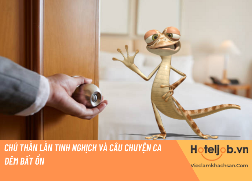Chú thằn lằn tinh nghịch và câu chuyện ca đêm bất ổn