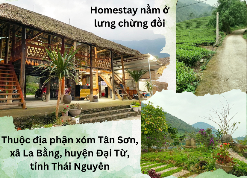 Chàng trai người Tày không ngại khó và ước mơ mang tên La Bằng homestay