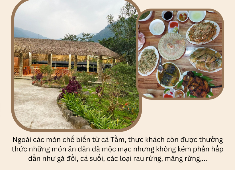 Chàng trai người Tày không ngại khó và ước mơ mang tên La Bằng homestay