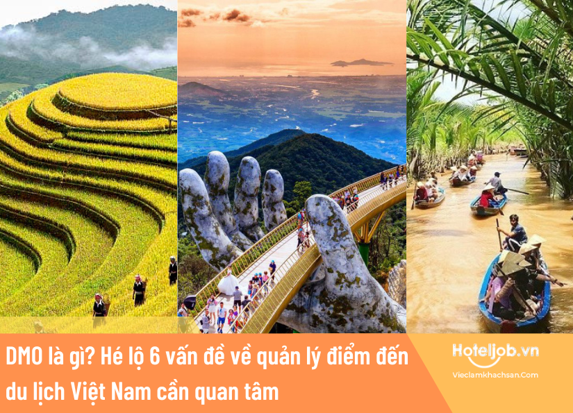 DMO là gì?