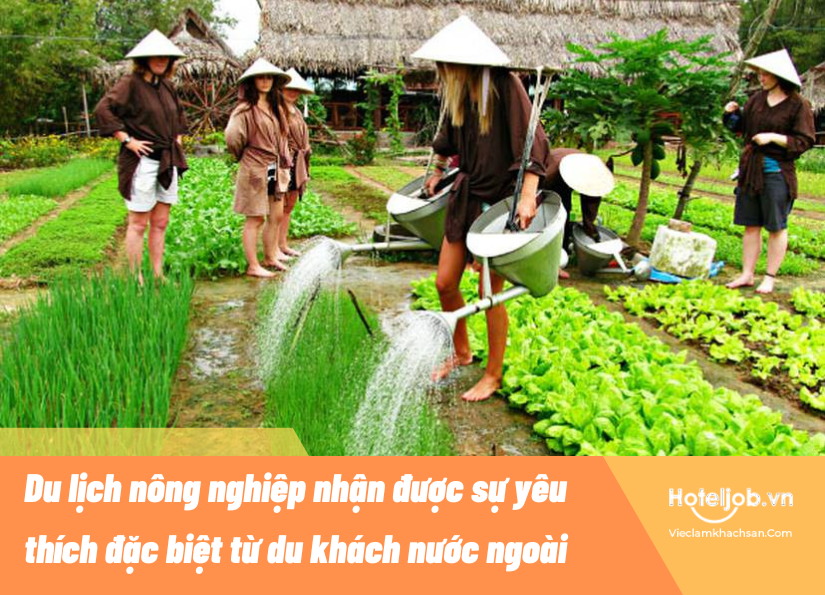 E28bet casino phiên bản mới nông nghiệp là gì