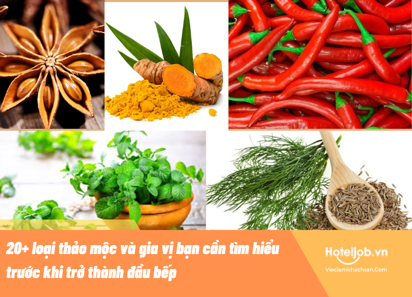 Thảo mộc và gia vị