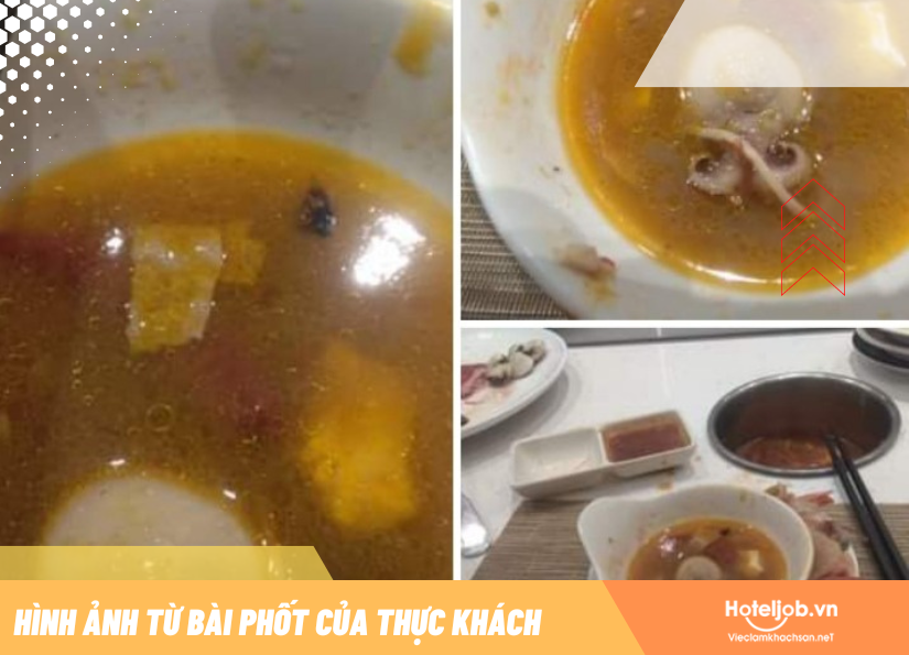 Làm gì khi khách phản ánh thức ăn có tóc /côn trùng /vật thể lạ…