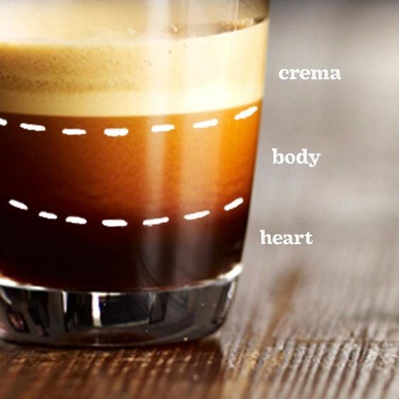 Crema là gì? Và làm thế nào để tạo ra lớp crema đúng điệu?