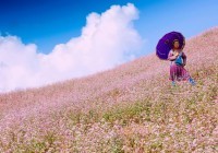 8 dòng sản phẩm E28bet casino phiên bản mới Tây Bắc vào năm 2017