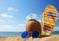 Bản tin tháng 11 Elaenglish.com.vn