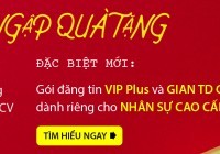 Mừng Tết Độc lập, nhận “đại tiệc” quà tặng từ Elaenglish.com.vn