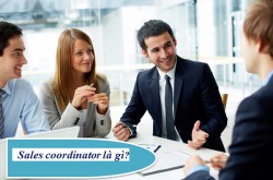 Sales coordinator là gì? Bản mô tả E2bet tỷ lệ kèo World Cup 2026 Sales coordinator trong Trang Chủ Cổng Game Cá Cược Uy Tín E2 BET