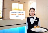 Lý do nào khiến bạn nghỉ việc/ nhảy việc Nghề E28bet casino nhà cái?