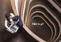 PMS là gì? Lật tẩy 8+ thông tin ít ai biết về PMS Trang Chủ Cổng Game Cá Cược Uy Tín E2 BET