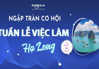 Ứng tuyển ngay - Nhận việc trao tay tại Tuần lễ E2bet đăng ký Hạ Long 2020