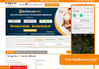 Push Notifications là gì? Tính năng Push Notifications của Elaenglish.com.vn có gì đặc biệt?