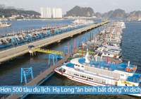 Dịch bệnh dai dẳng - chủ tàu E28bet casino phiên bản mới tại Hạ Long khốn đốn vì nợ chồng nợ