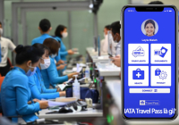 [Tin vui] Nhờ IATA Travel Pass - Hàng không, E2bet cá cược WC 2026 kỳ vọng sớm đón khách quốc tế