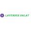 Khu Du Lịch Lavender Đà Lạt