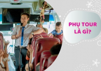 Phụ tour là gì? Mô tả E2bet tỷ lệ kèo World Cup 2026 phụ tour và mức lương mới nhất