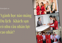 Chọn ngay 1 trong 4 ngành học mảng E2bet cá cược WC 2026 - E28bet casino nhà cái có nhu cầu nhân lực cao để theo học!