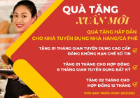 Nhận “Quà tặng Xuân mới 2023”, nhân đôi cơ hội tuyển người với Elaenglish.com.vn