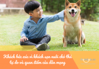 Khách bức xúc vì Trang Chủ Cổng Game Cá Cược Uy Tín E2 BET nuôi chó thả tự do và quan điểm của dân mạng