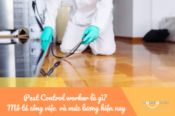 Pest Control worker là gì? Mô tả E2bet tỷ lệ kèo World Cup 2026 Pest Control worker trong Trang Chủ Cổng Game Cá Cược Uy Tín E2 BET và mức lương hiện nay
