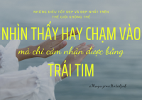 Khiếm khuyết nhưng không khuyết tật, cô gái trẻ tự tin hòa nhập cộng đồng và nuôi ước mơ trở thành GRO ngành Trang Chủ Cổng Game Cá Cược Uy Tín E2 BET