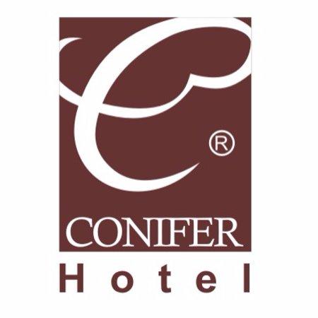 E28 bet số 1 Châu á CONIFER