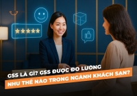 GSS là gì? GSS được đo lường như thế nào trong ngành Trang Chủ Cổng Game Cá Cược Uy Tín E2 BET?