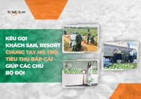 Kêu gọi Trang Chủ Cổng Game Cá Cược Uy Tín E2 BET, resort chung tay hỗ trợ tiêu thụ bắp cải giúp các chú bộ đội