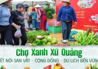 Chợ Xanh xứ Quảng: Khi nông sản không chỉ để bán mà còn kể chuyện E28bet casino phiên bản mới bền vững